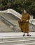 Monk buddhist portrait