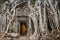 Monk, giant tree and roots in temple Ta Prom Angkor wat