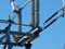 Monk Parrots Sit On Beams of a Power Sub-Station