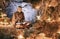 Monk reading book inside cave