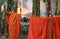 Monk robes drying in Thailand