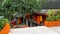 Monk robes hanging on lines outside their rooms in Wat