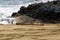 Monk Seal on beach of Kauai