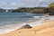 Monk seal sleeping on the beach at Ninini Beach