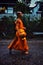 Monk during their early morning round around the town to collect their alms