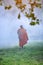 The monk walks in the forest, buddhist temple, Novice monk went