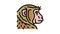monkey animal zoo color icon animation