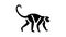 monkey animal in zoo glyph icon animation