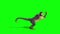 Monkey Attacks Side Green Screen 3D Rendering Animation