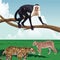 Monkey on branch and leopard felines tropical fauna and flora landscape