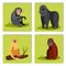 Monkey character animal different breads wild zoo ape chimpanzee vector illustration.