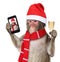 Monkey with christmas santa hat taking a selfie