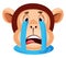 Monkey is crying, illustration, vector