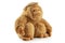 Monkey doll plush toy studio isolated. Chimpanzee, jocko, gorilla, anthropoid, hominids