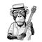 Monkey dressed hat and shirt holding guitar. Engraving