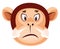 Monkey is felling angry, illustration, vector