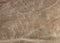 Monkey geoglyph, Nazca or Nasca mysterious lines