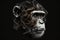 Monkey Geometry Only Lines. Generative AI