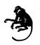 Monkey. Hand drawn silhouette of animal on white background