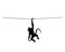 Monkey hanging illustration isolated on white background