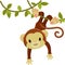 Monkey hanging on a liana