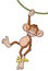 Monkey hanging of liana