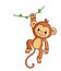 Monkey hanging on liana. Vector illustration. Cute animal