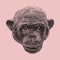 Monkey head. Big head smiling monkey. Versatile enhance digital art, web graphics, vintage-inspired branding. Dithering Bitmap