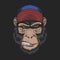 Monkey head cap vector illustration