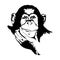 Monkey head (graphics) - chimpanzees