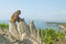 Monkey in Linh Ung temple sit on rock with Danang city and beach in backgrounds