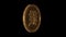 Monkey medallion hieroglyph chinese horoscope. Metal gold. Alpha channel