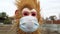 Monkey in medical mask outdoors looking scared shocked and frustrated