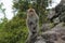 The monkey on Mount Lawu is looking at you, Indonesia