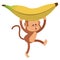 monkey with playful face and banana cartoon icon