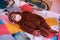 Monkey plush toy