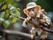 Monkey postman with mailbag on tree branch