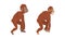 Monkey or Primate as Human Evolution Stage and Gradual Development Vector Set