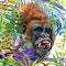 Monkey in the rainforest. watercolor tropical nature illustration. wildlife.