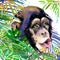 Monkey in the rainforest. watercolor tropical nature illustration. wildlife.