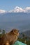 A monkey relaxing and watching overlooking the Nanda Devi Himalayan range