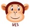 Monkey is saying yes, illustration, vector