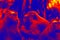 Monkey in scientific high-tech thermal imager