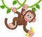 Monkey Singing On Jungle Vines With Banana Cartoon