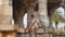 Monkey sits between columns in tourist spot