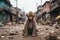 a monkey sits on the ground in an urban area