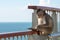 Monkey sitting alone and depressed on stainless steel railing by the blue sea.