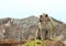 Monkey sitting on top of crater on Kelimutu