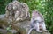 Monkey sitting on a tree next to a stone sculpture with the same shape