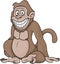 Monkey Smiling Wide Cartoon Color Illustration